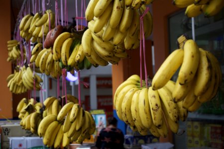 DSC9929 Bananas Wholesale