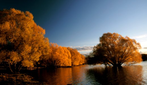 Autumn At Lake Tekapo NZ (24)