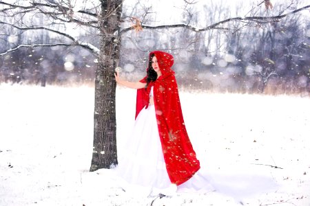 Red Snow Winter Freezing photo