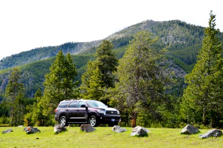 Yellowstone National Park photo