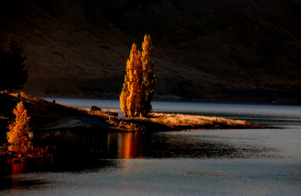Autumn At Lake Tekapo NZ (5)