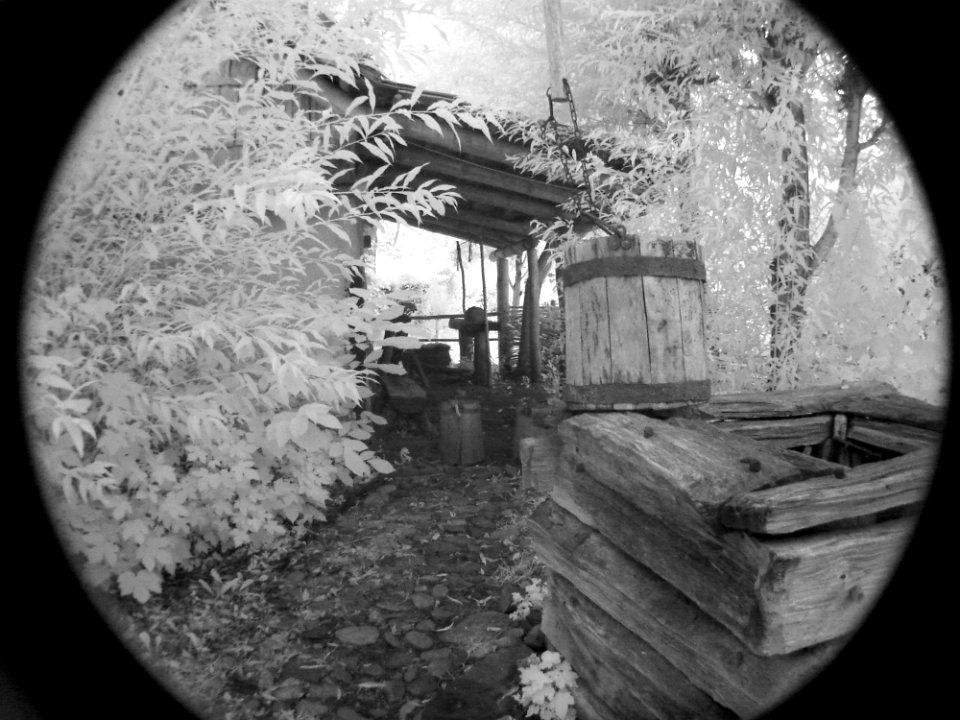 Light Black Flash Photography Wood