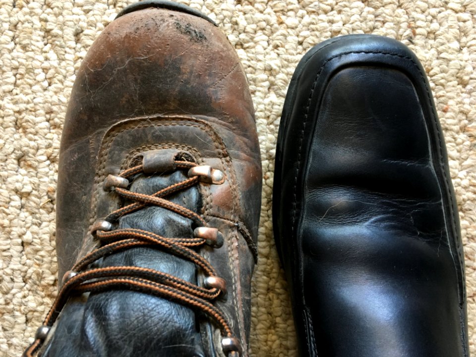 Shoe Personalities