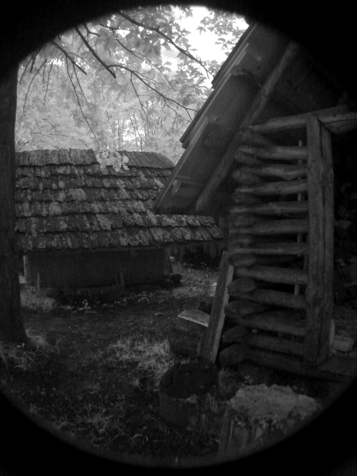 Flash Photography Wood Building Tree
