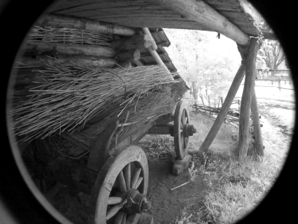 Tire Wheel Plant Automotive Tire