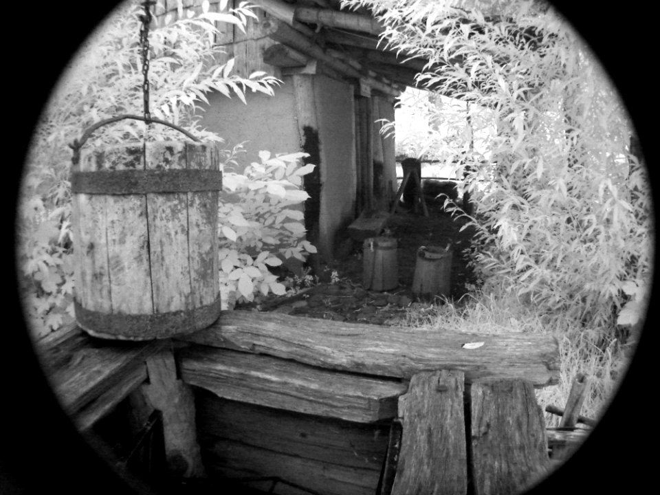 White Light Black Wood