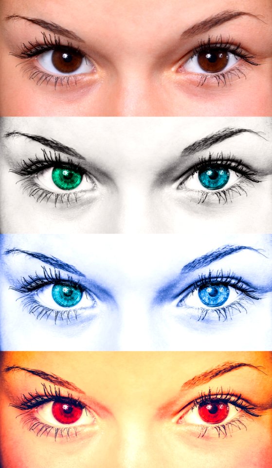Eyebrow Face Eyelash Eye