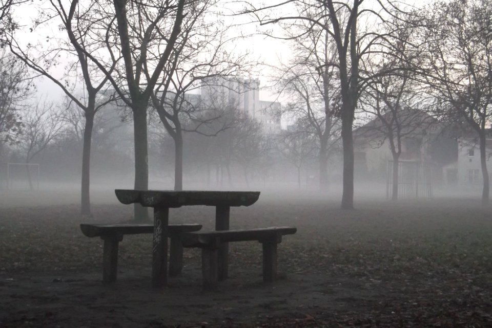 Table Dusk
