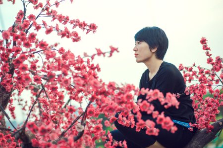 Girl Looking At Blossom