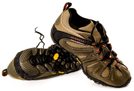 Footwear Shoe Outdoor Shoe Walking Shoe