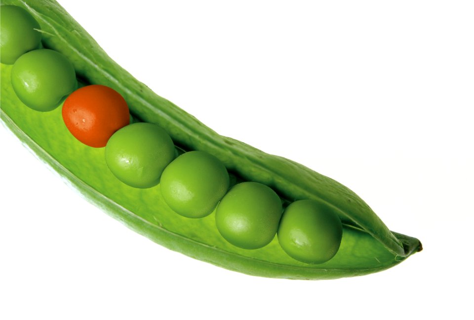 Vegetable Pea Legume Natural Foods