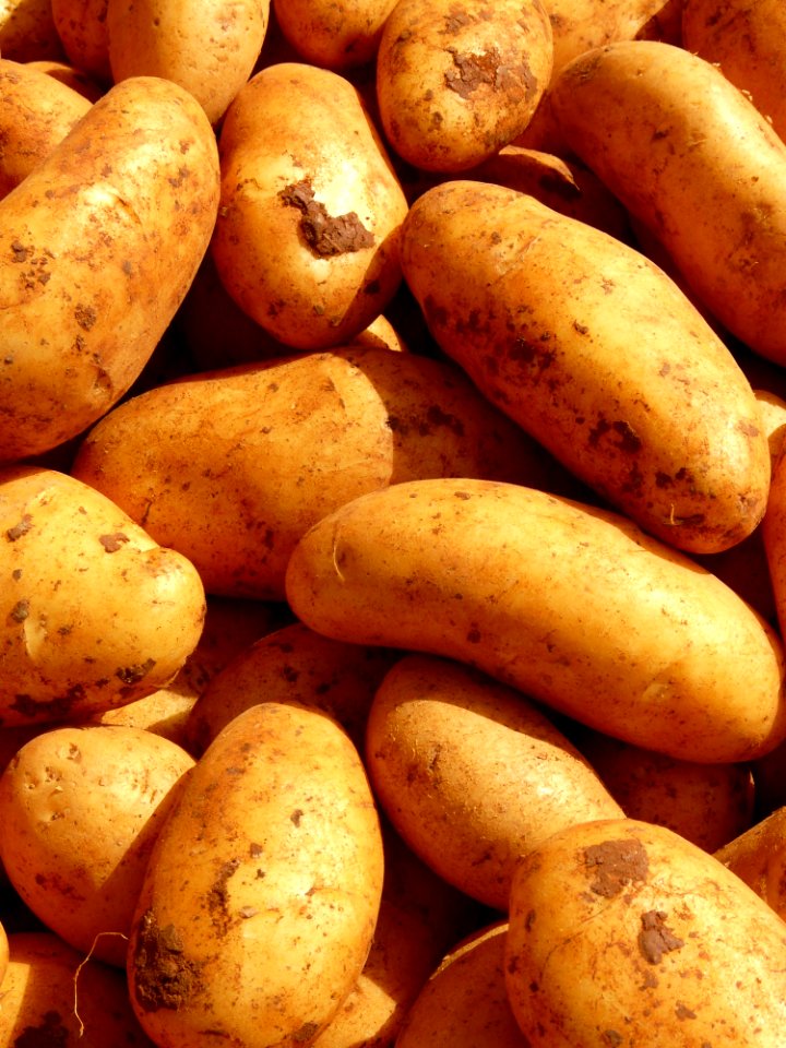 Root Vegetable Potato Yukon Gold Potato Food