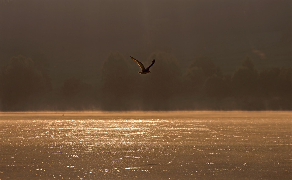 Landscape sunrise water