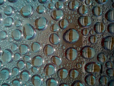 Water Pattern Organism Texture