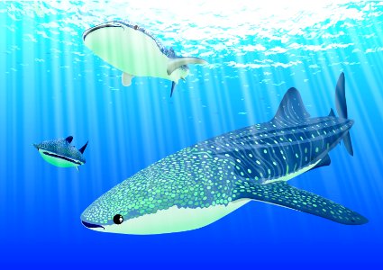Blue Water Fish Marine Biology photo