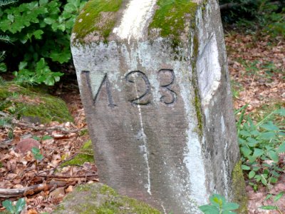 DSC4178 P1090753