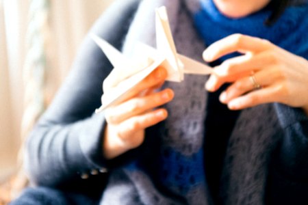 Origami Bird In Hands