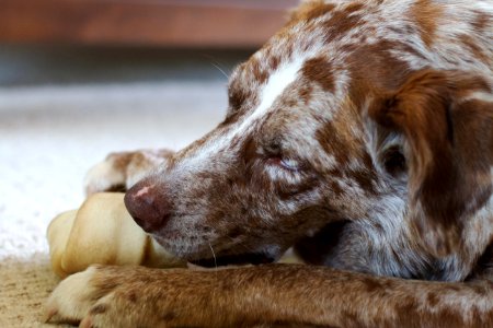 Theres Nothing Like The Smell Of Rawhide In The Morning