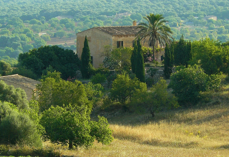 Holiday house country house building