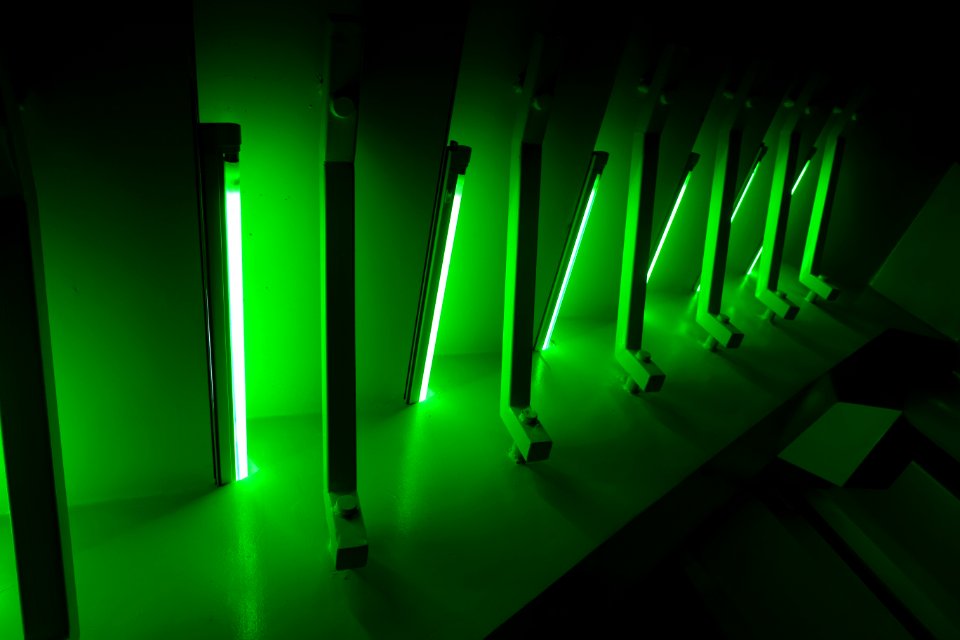Green Visual Effect Lighting Font Neon