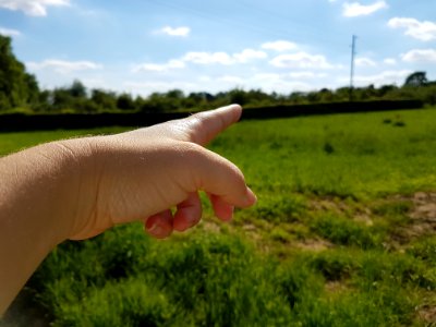 Cloud Sky Hand Plant