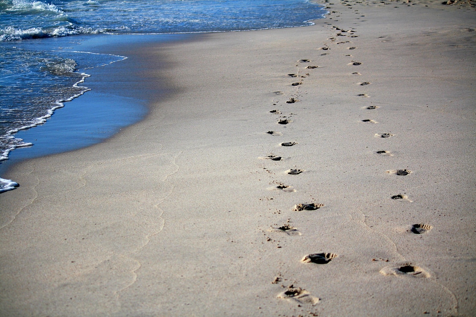 Ocean tracks in the sand traces