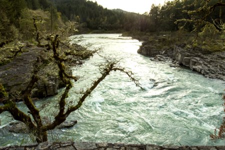 Colliding Rivers Glide Oregon photo