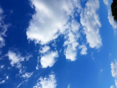 Cloud Sky Atmosphere Blue photo