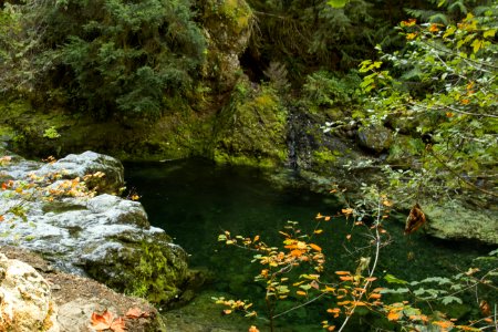 Opal Creek Oregon photo