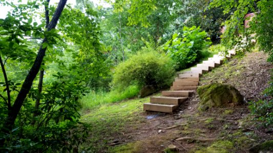 Wooden Staircase At Lake Lure NC