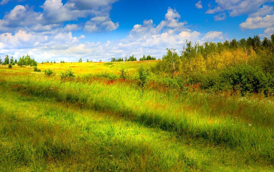 In The Countryside