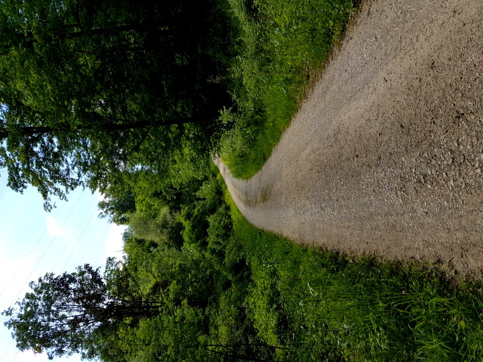 Plant Sky Natural Landscape Road Surface