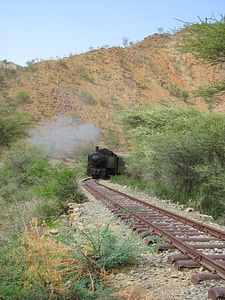 Trees plants railroad