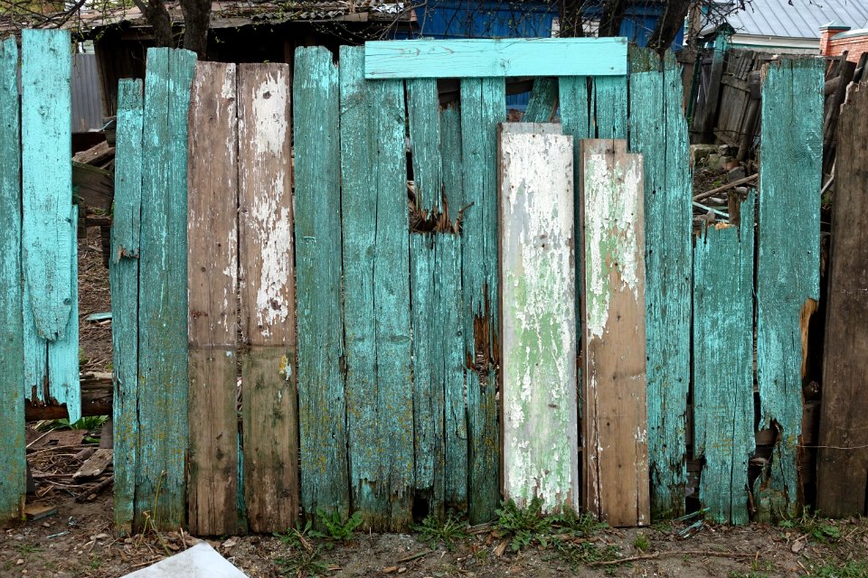 Plant Green Wood Door