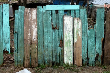 Plant Green Wood Door