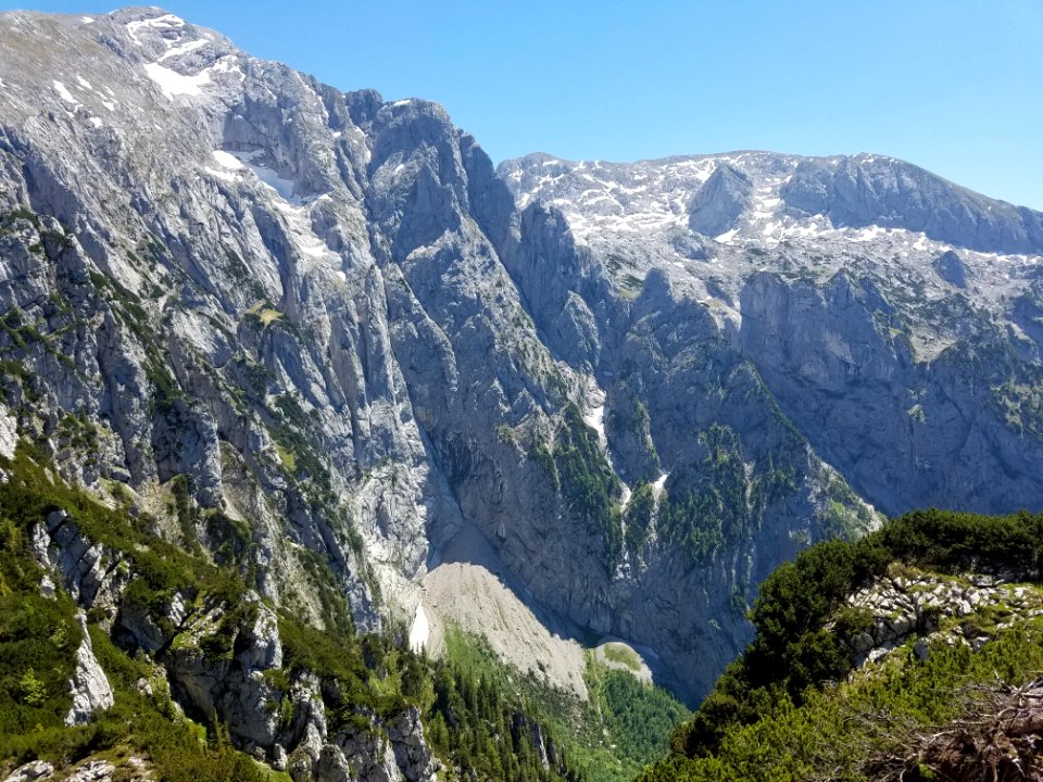 Where The Treeline Ends