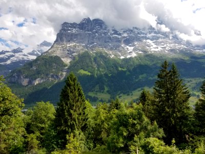 Mountain Rising Above The Trees