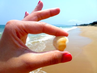 Seashell Hand Finger Sand photo