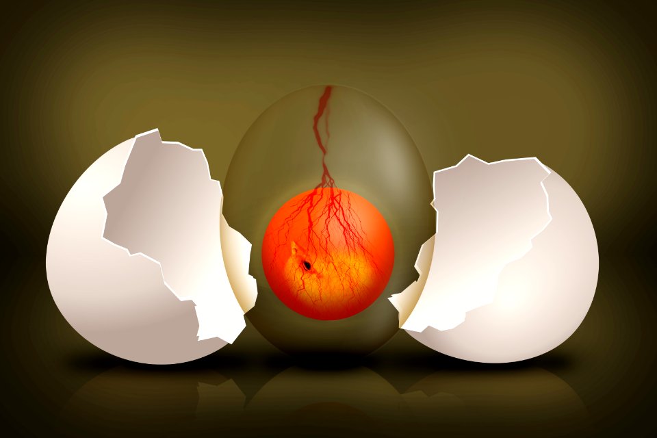 Still Life Photography Leaf Computer Wallpaper Product Design