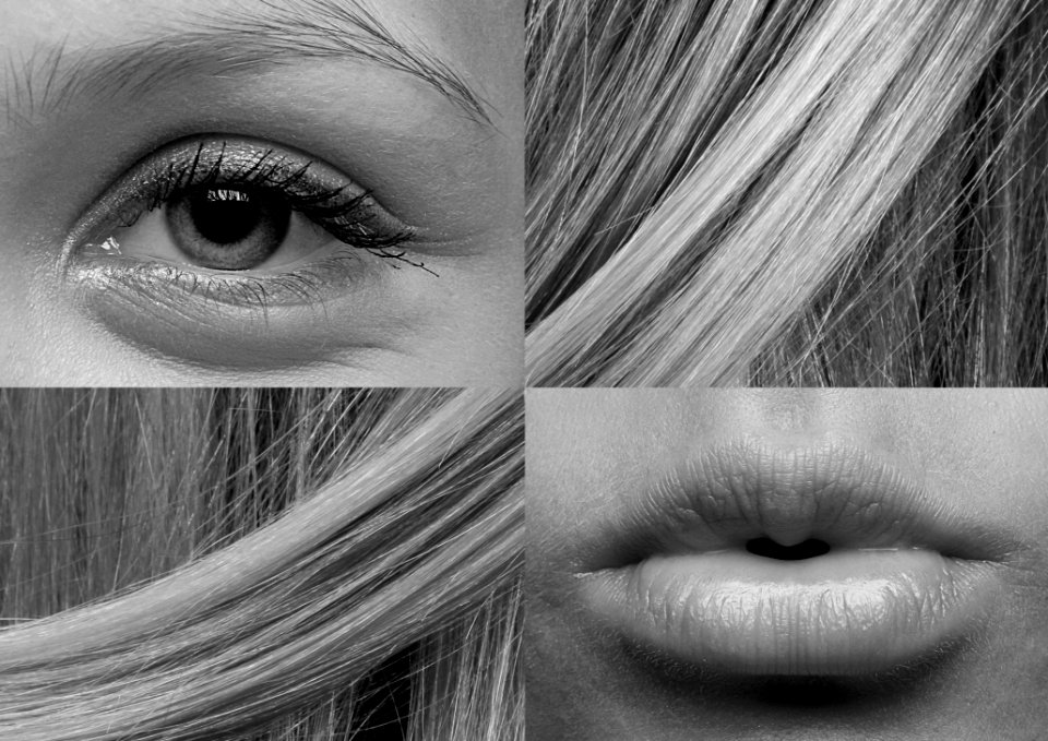 Eyebrow Face Black And White Eye