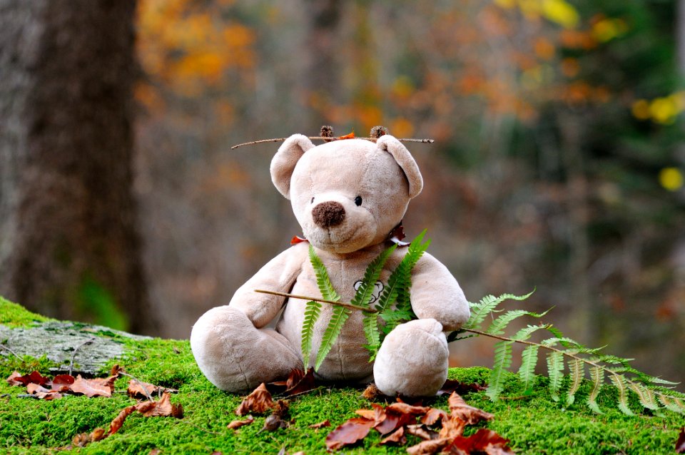 Teddy Bear Grass Snout Stuffed Toy
