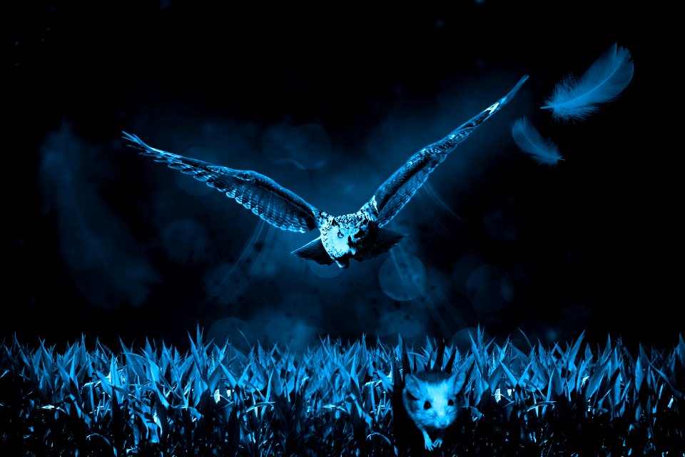 Phenomenon Darkness Computer Wallpaper Sky