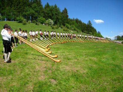 Alphorn Wind Instrument Brass Instrument Grass