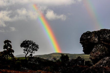 Rainbow Sky Meteorological Phenomenon Tree photo