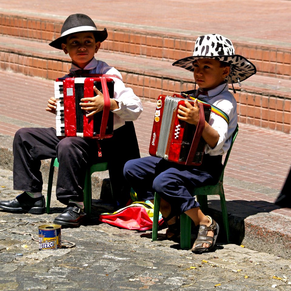 Diatonic Button Accordion Accordion Musician Trikiti