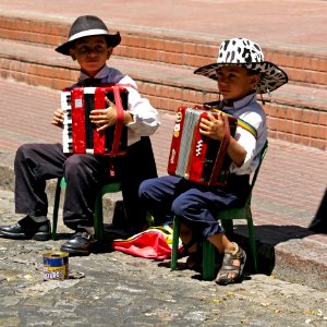 Diatonic Button Accordion Accordion Musician Trikiti
