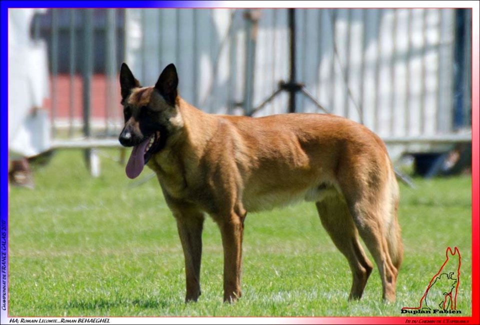 ITI DU CHEMIN DE LESPERANCE BBMM MOUNIER SOLENN TREGUEUX 327811 -5271