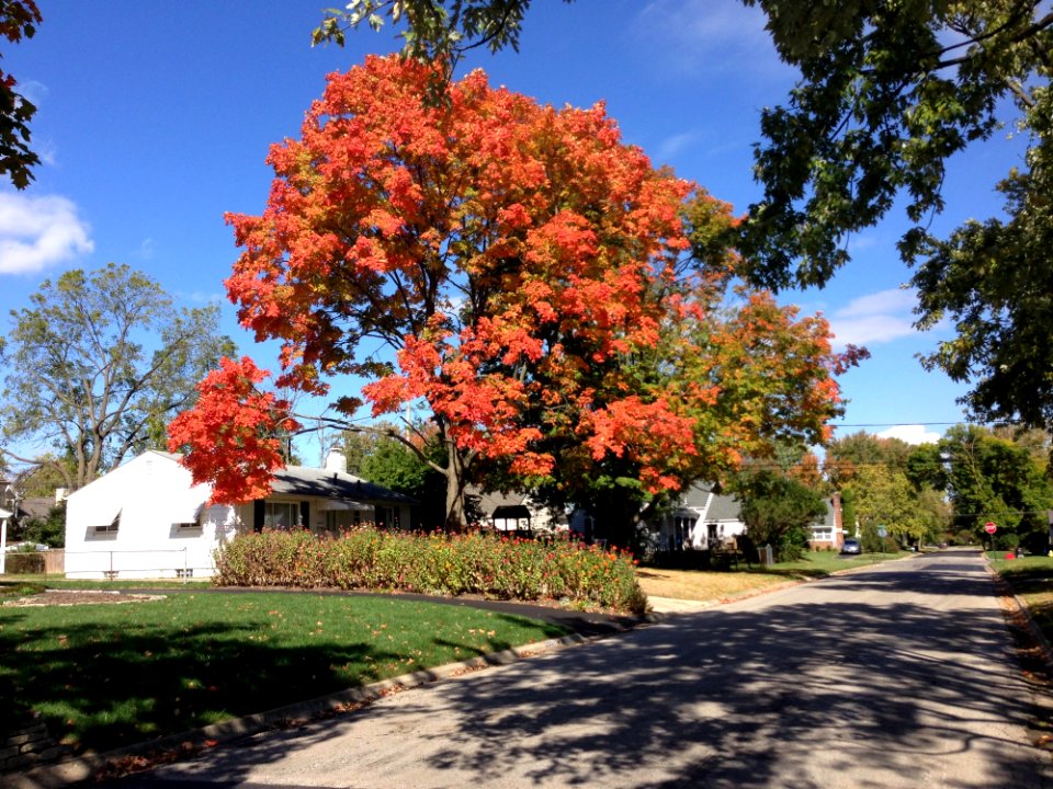2015-10-14 120706