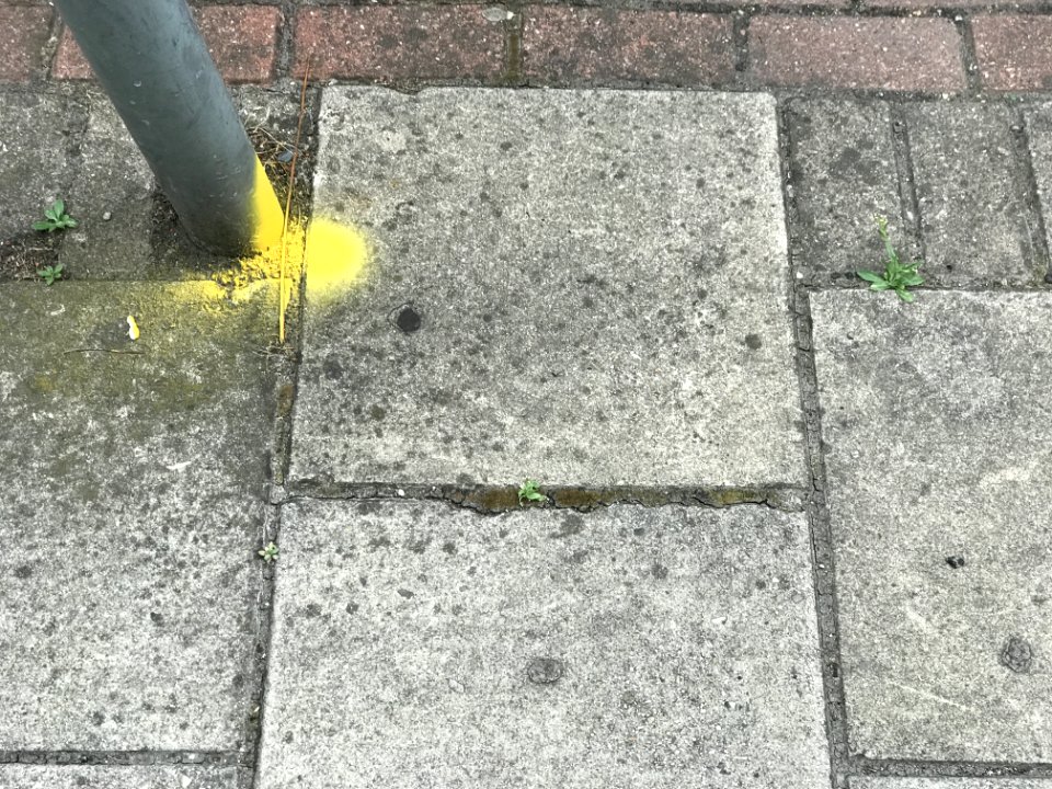 Green Yellow Public Space Asphalt