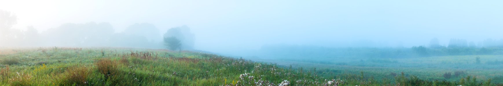 Morning Field Panorama photo